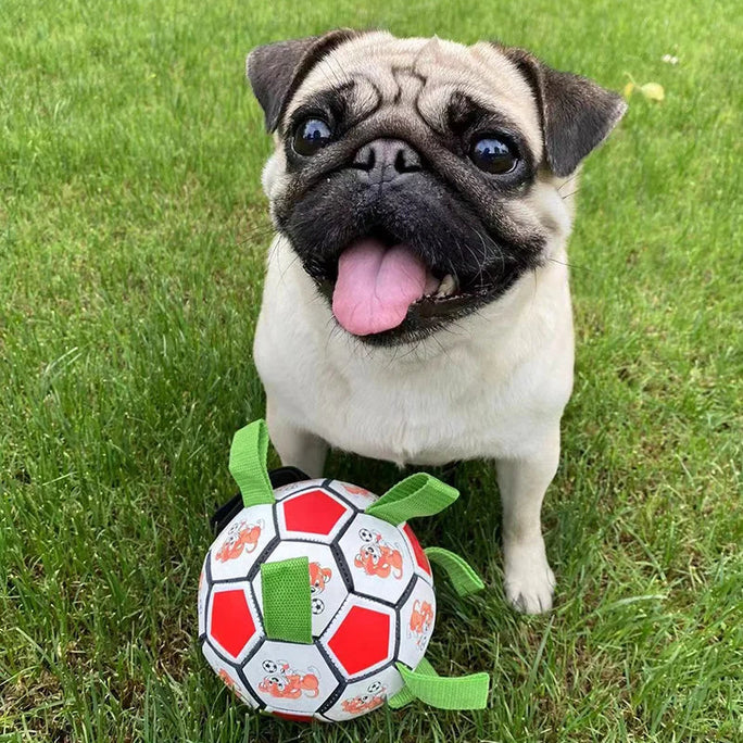 Interactive Dog Football Toy